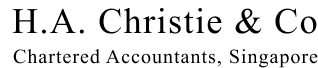 chartered accountant